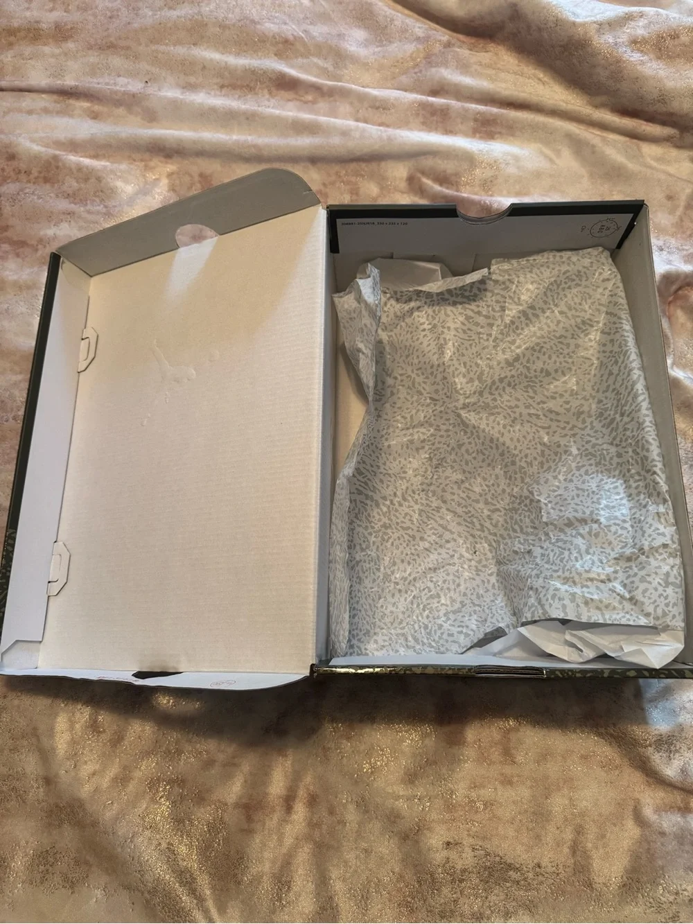 Air Jordan 3 Retro Shoe Box